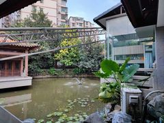 -东江渔村·古典园林·30年粤菜老字号(太和店)