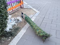 -有喜胶东小馆(太申祥和店)