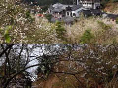 -广东天露山旅游度假区