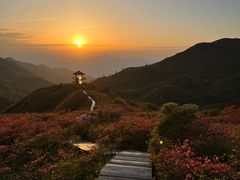-大围山国家森林公园