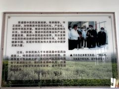 -李时珍纪念馆