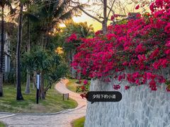 -石梅湾艾美度假酒店