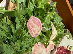 -手选潮汕鲜牛肉火锅(二七广场店)