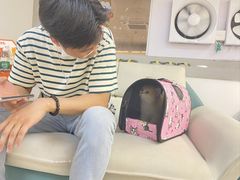 -lincat·猫舍(广州店)