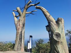 -长沙黑麋峰国家森林公园