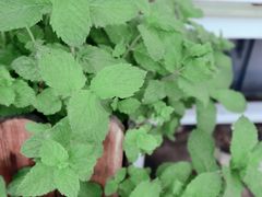 -隹木咖啡馆(宝龙广场店)