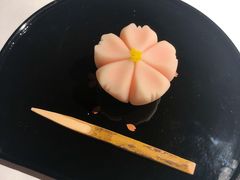 -觀芷隐轩