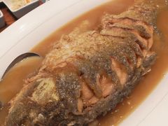 红烧黄河大鲤鱼-阿庄新豫菜(航海东路店)