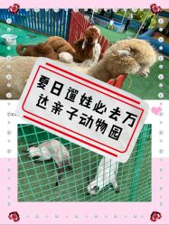 -萌宠亲子动物乐园(槐房万达店)