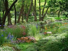 -上海共青森林公园