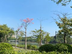 -顺峰山公园