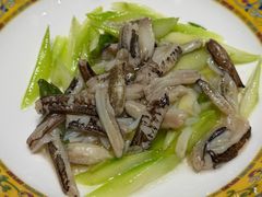 -新光酒家·河豚·海鲜·蟹料理(浦东店)
