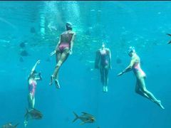 -瑞德姆美人鱼海底演艺主题餐厅(亚龙湾店)