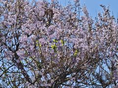 -北京西国贸大酒店