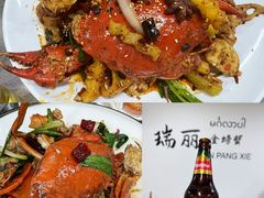 -金螃蟹