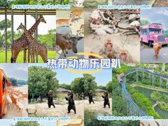 -常州淹城野生动物世界