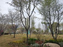 -后襄河公园