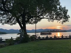 -杭州西湖柳莺里酒店·闻莺厅