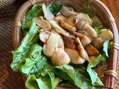 -滇野云南野生菌餐厅(陕西南路店)