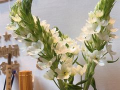 -芸南道·过桥米线(昆明老街旗舰店)