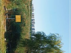 -绿堤公园