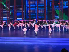 -宝能国际体育演艺中心