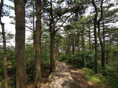 -罗田薄刀峰风景区