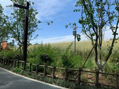 -黄龙溪欢乐田园