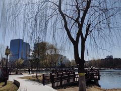 -西海子公园