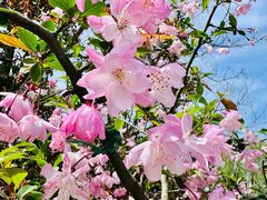 -上海吴淞炮台湾国家湿地公园