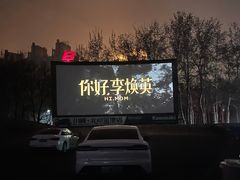 -枫花园汽车电影院(朝阳公园店)
