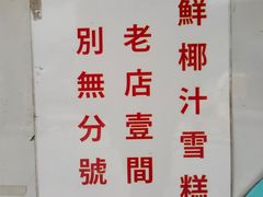 -洪馨椰子