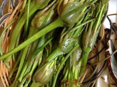 -野菌园·野生菌火锅首创第一家(关兴路总店)