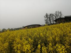 -中国天府农业博览园