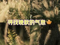 -白鹭湾湿地公园