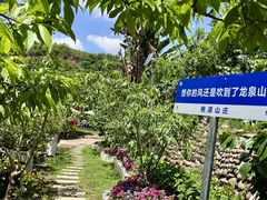 -桃源山庄·水蜜桃采摘·柴火鸡·烧烤团建(龙泉山店)