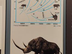 -大庆市博物馆