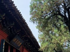 -洛阳白马寺