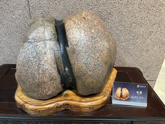 -中华赏石园