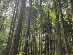 -罗田薄刀峰风景区