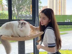 -猫色咖啡·猫咖
