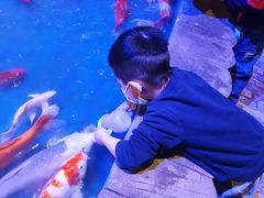 -华夏文旅海洋公园