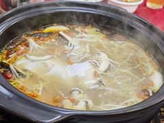 -花苑美食横琴生蚝火锅(拱北粤华路店)