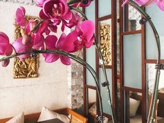 -阿诺泰·泰国餐厅(紫荆店)