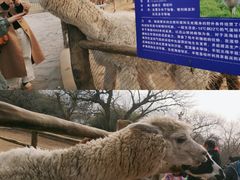 -西安秦岭野生动物园