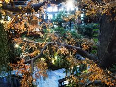 -云境生态园(红谷滩店)