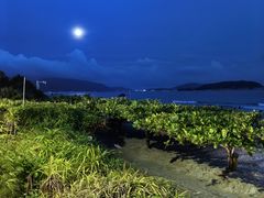 -渔家火锅·海鲜自助餐·演艺(亚龙湾天域酒店)