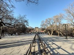 -北陵公园