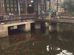 -运河游船(武林门码头)