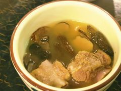 -蘑统田下·野生菌火锅